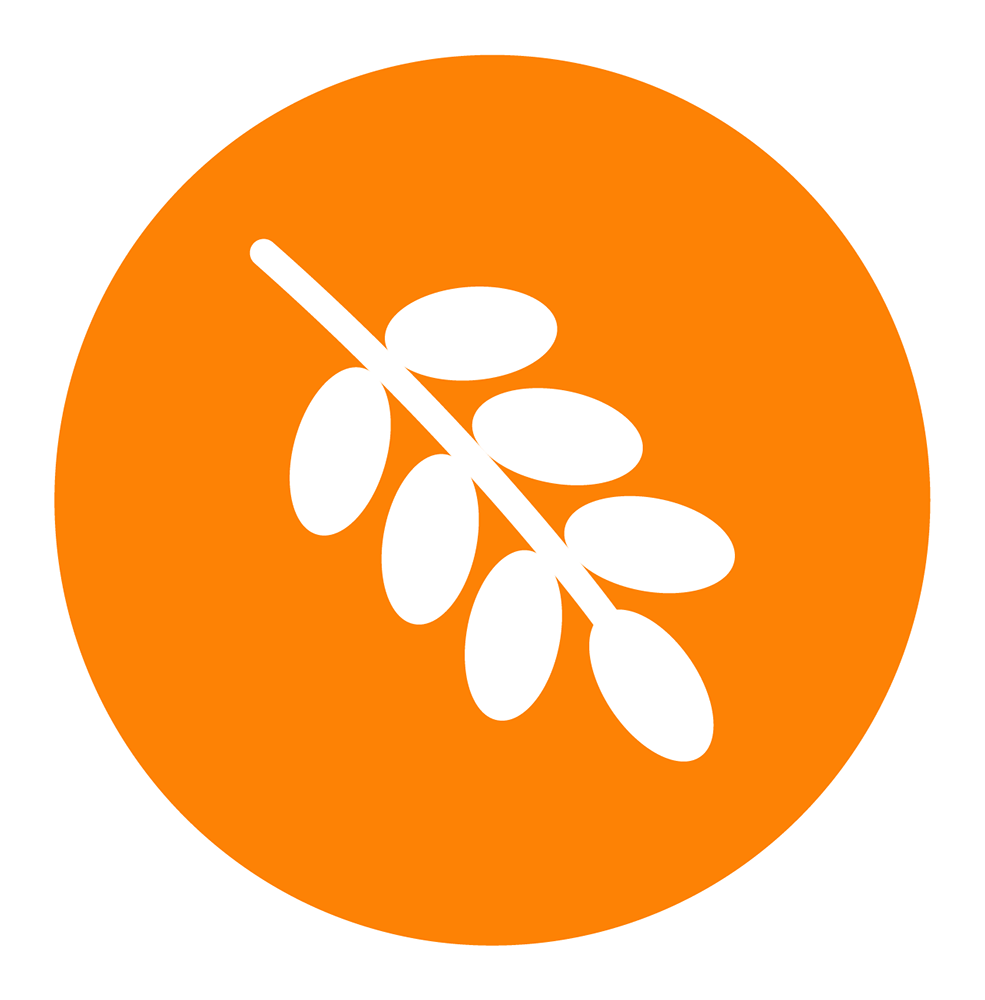 Melt Organic - Organic Palm Fruit Oil